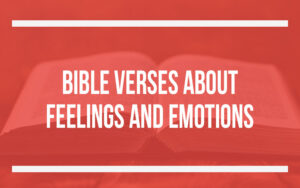 40 Bible Verses About Feelings And Emotions - Holy Bible Word