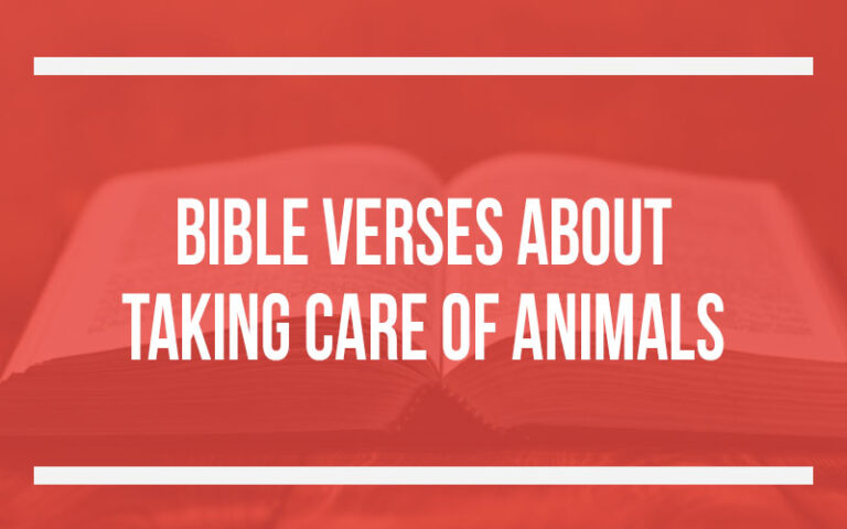 Animal Rescue Scripture 40 Bible Verses About Taking Care Of Animals - Holy Bible Word